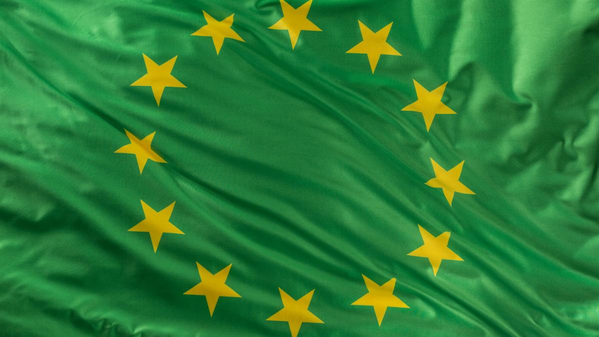 Der Green Deal in der Mitte Europas - Europa am Morgen #3