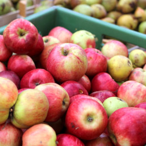 Einfach mal die Presse halten – Äpfel bestimmen, saften & verarbeiten