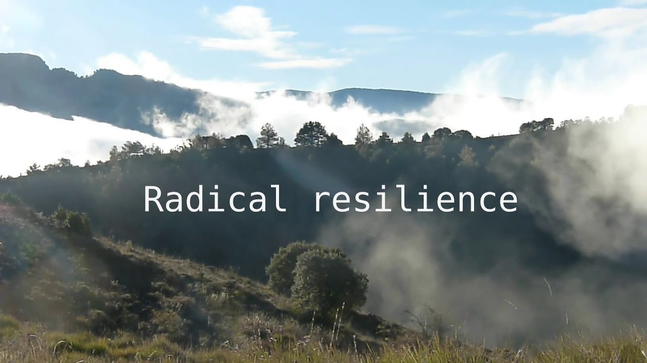 Dokumentar-Film "Radical Resilience"