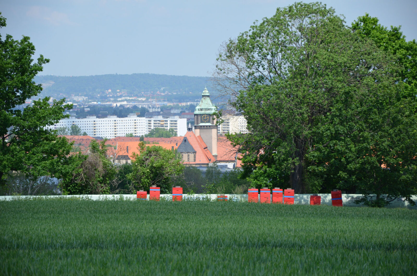 Nachhaltig (Um-)Bauen und Planen für Dresden