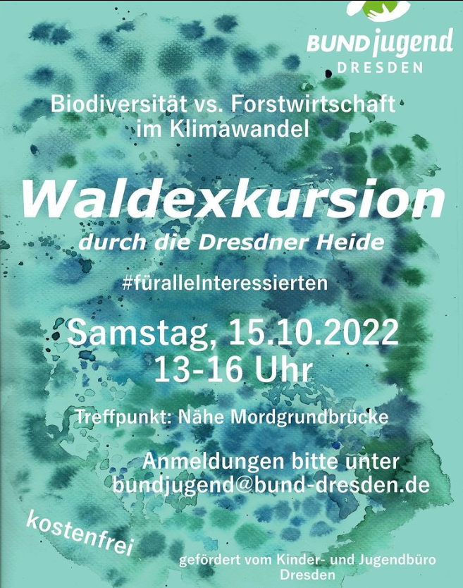 Waldexkursion durch die Dresdner-Heide
