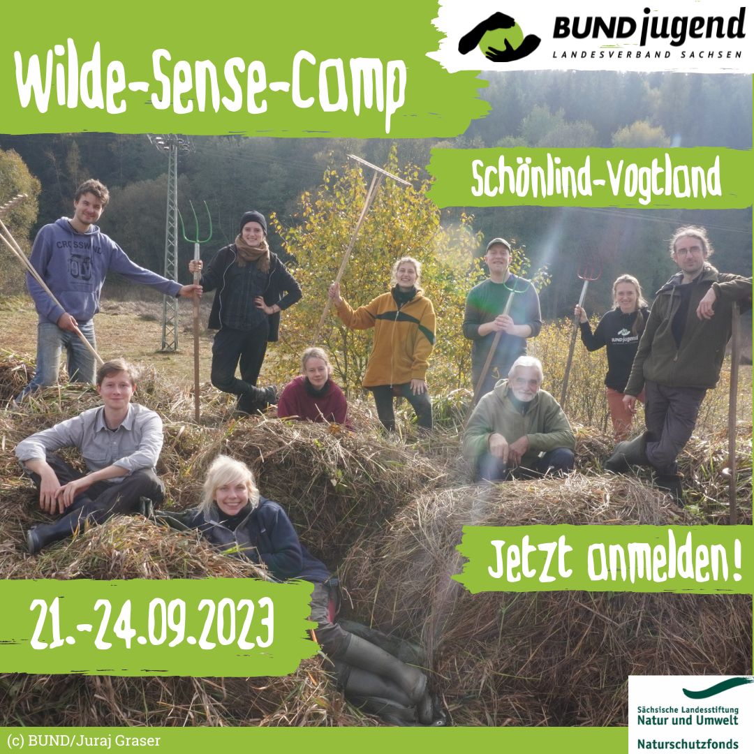 Wilde-Sense-Camp der BUNDjugend Sachsen