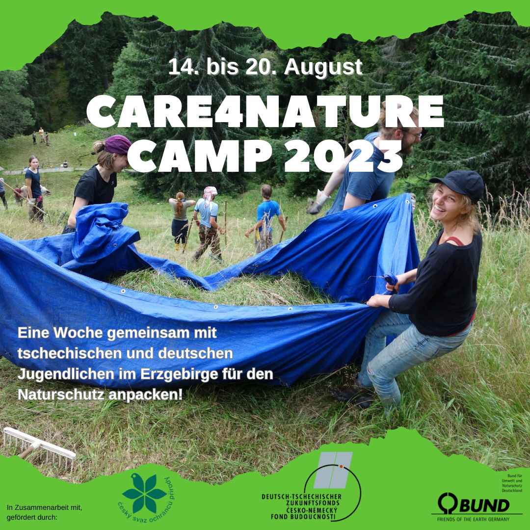 Care4Nature Bergwiesencamp im Erzgebirge