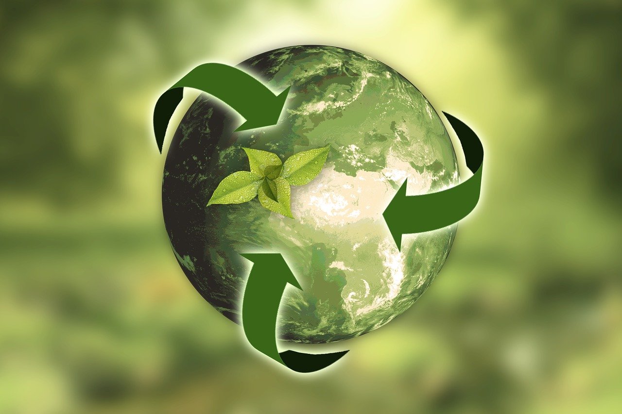 Nachhaltigkeitslabels und -zertifikate: Orientierung für Unternehmen