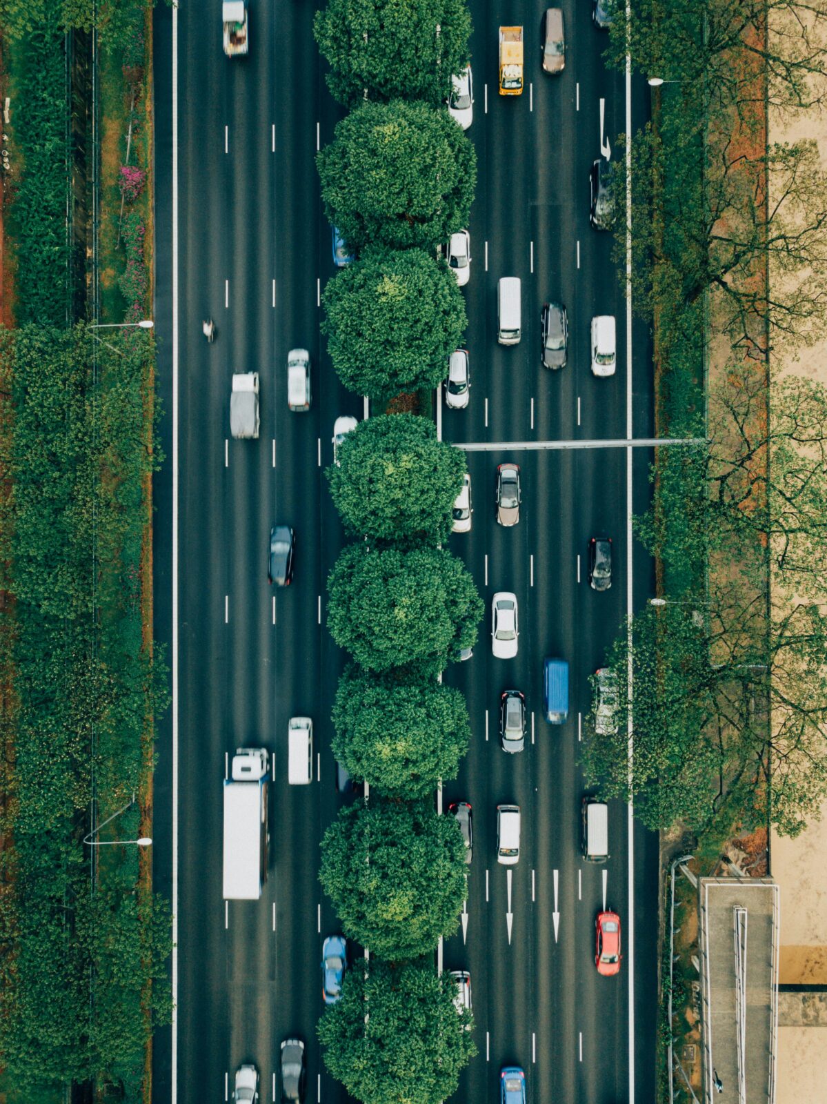 „Virus Auto“: Lesung und Gespräch mit dem Mobilitätswende-Visionär Hermann Knoflacher