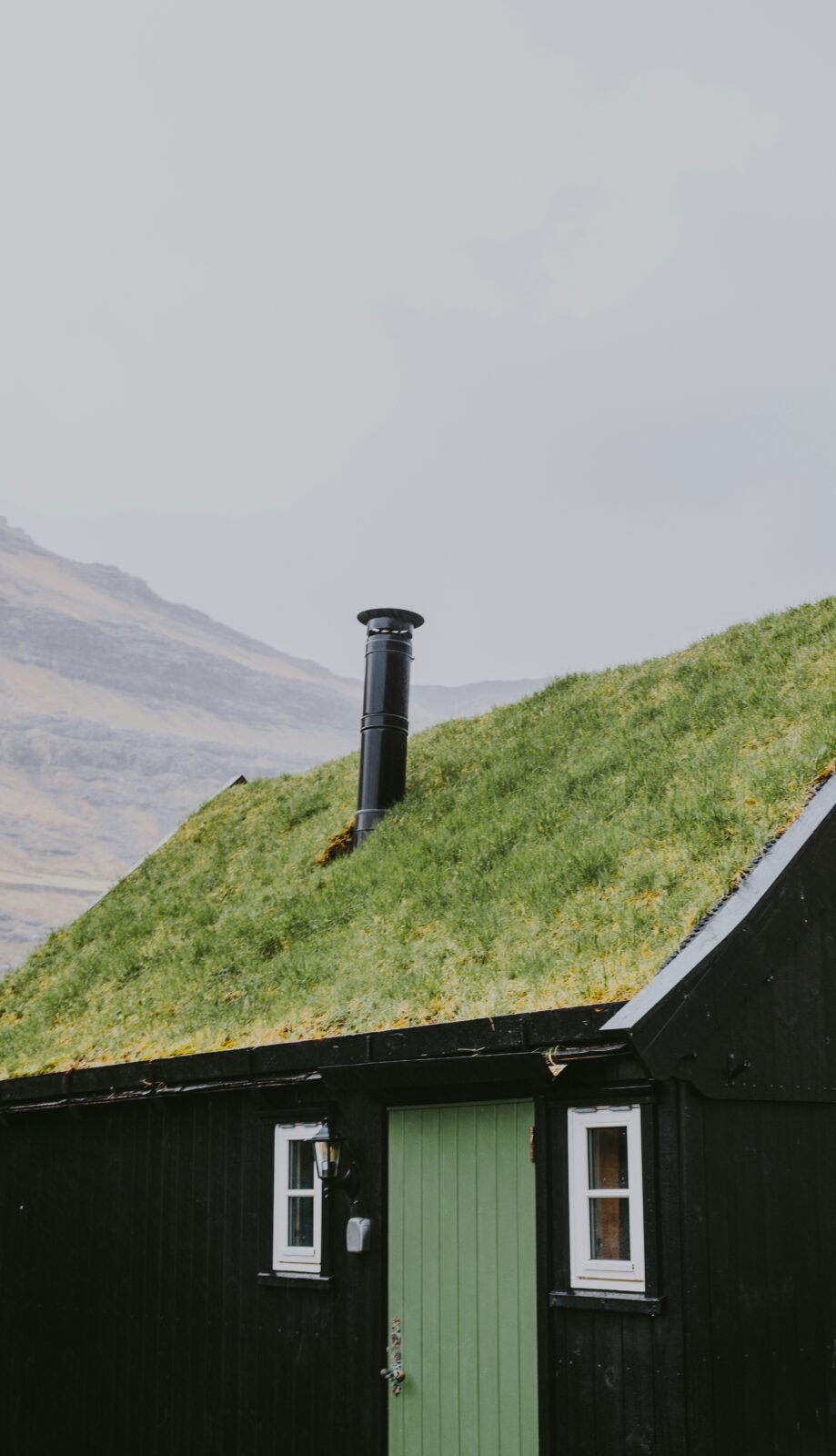 Grüne Oasen über den Dächern: Klimafreundliche Dachbegrünung